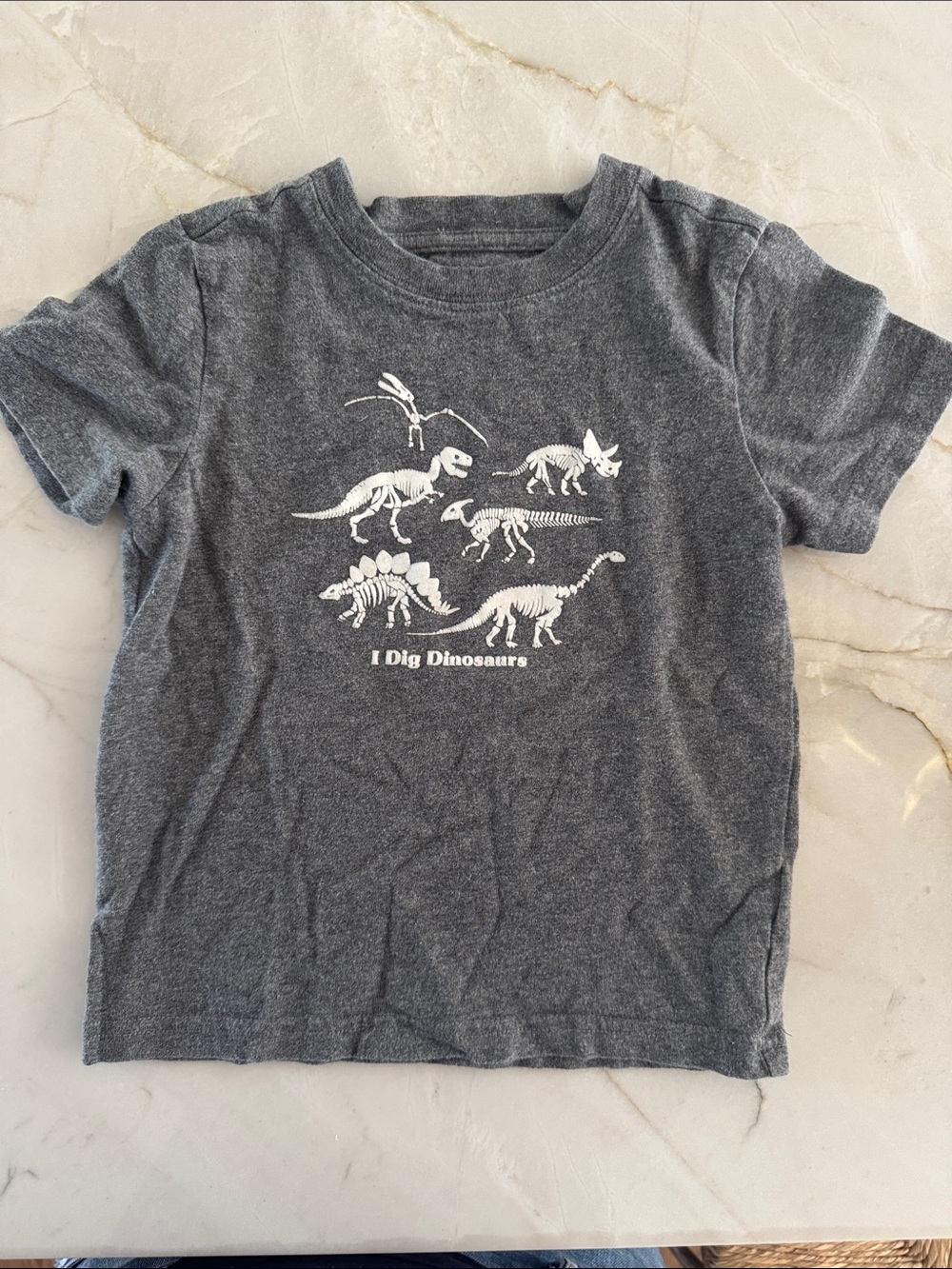 Janie and Jack Charcoal Gray 'I Dig Dinosaurs' Tee